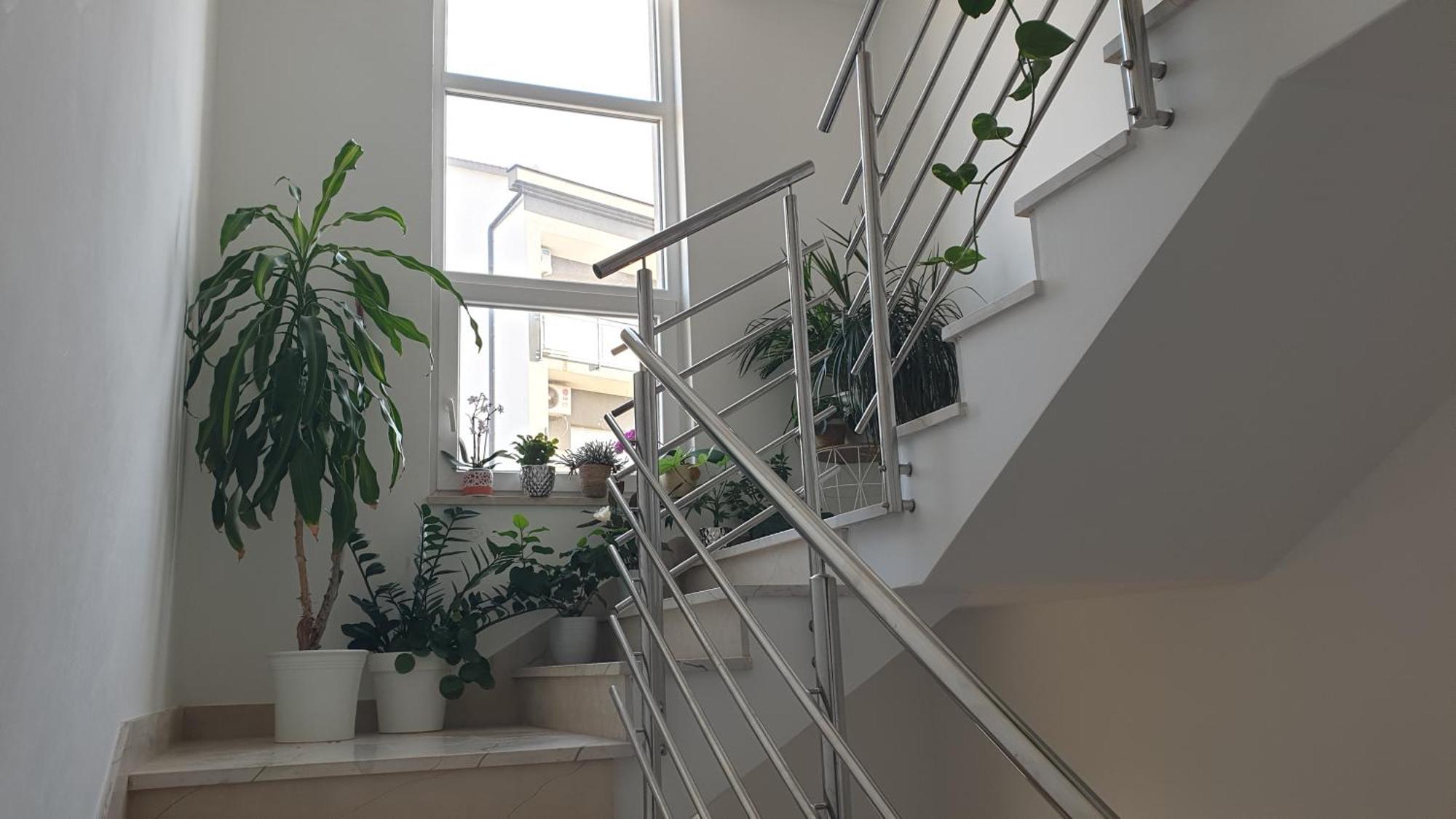 Astralis Apartment *